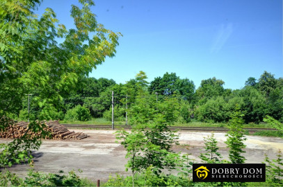 Działka 10000m2 Czarna Białostocka — wnętrze 2