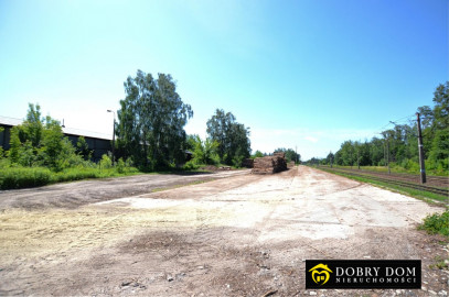 Działka 10000m2 Czarna Białostocka — zdjęcie 5 z 6