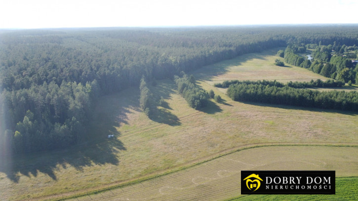 Działka Sprzedaż Sarnetki 12
