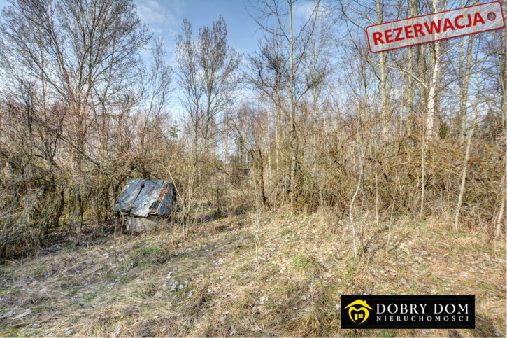 Dom Sprzedaż Wiejki 10