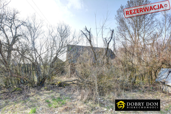 Dom Sprzedaż Wiejki 12