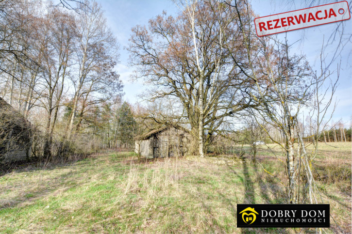 Dom Sprzedaż Wiejki 16