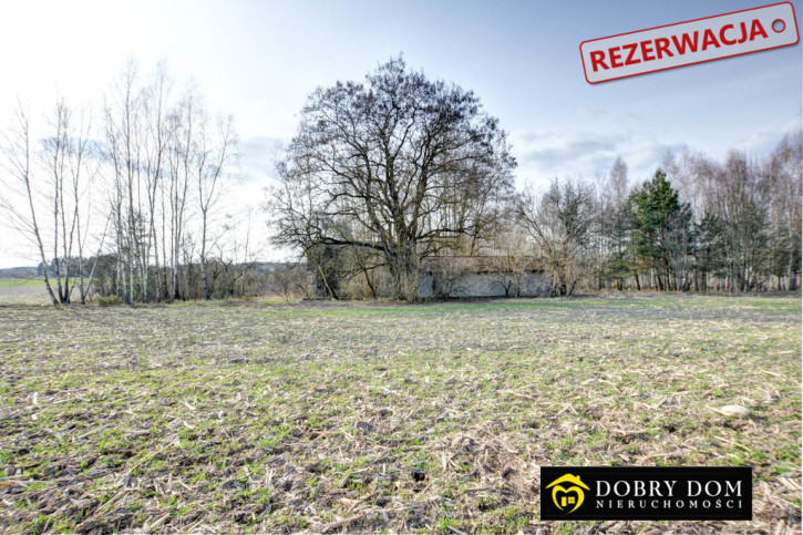 Dom Sprzedaż Wiejki 17