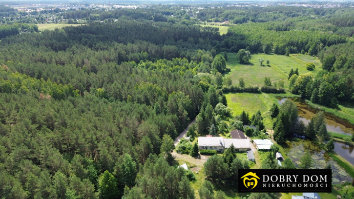 Obiekt Sprzedaż Wasilków 30