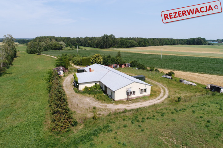 Magazyn Sprzedaż Olszewek 1
