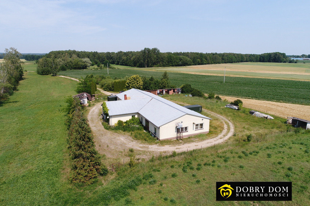 Hala magazynowa 600 m2 w bardzo dobrym stanie