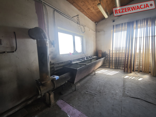 Magazyn Sprzedaż Olszewek 25