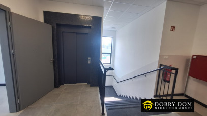 Obiekt 2140m2 Zaścianki — zdjęcie 5 z 18