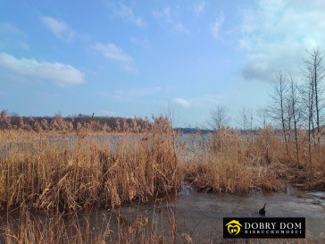 Działka 5030m2 Sejny — zdjęcie 10 z 10