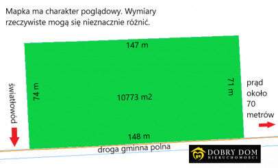 Działka 10773m2 Złotoria — zdjęcie od frontu