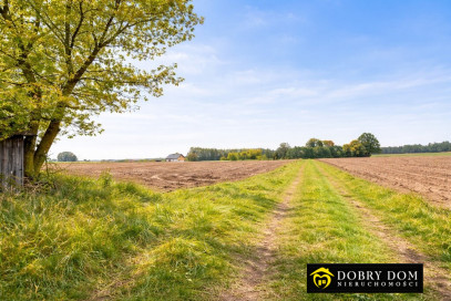 Dom 74m2 Chorużowce — zdjęcie 8 z 9