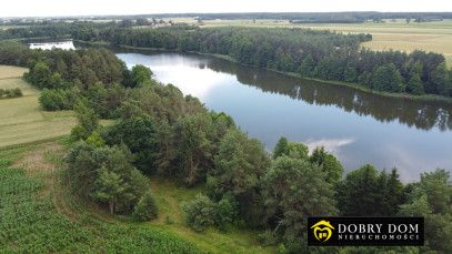 Działka 11028m2 Sidory — zdjęcie 9 z 12
