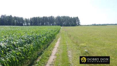 Działka 11028m2 Sidory — zdjęcie 12 z 12