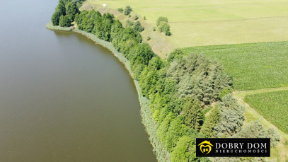 Działka 11028m2 Sidory — zdjęcie 6 z 12