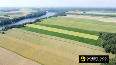 Działka 11028m2 Sidory — zdjęcie 7 z 12