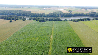 Działka 11028m2 Sidory — zdjęcie 10 z 12