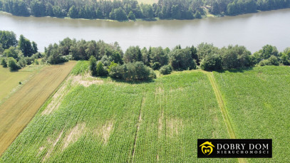 Działka 11028m2 Sidory — zdjęcie 11 z 12