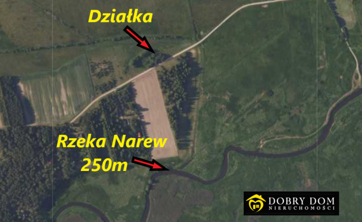 Działka Sprzedaż Ciełuszki 2