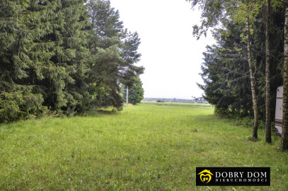 Działka 3237m2 Lipowo — zdjęcie od frontu