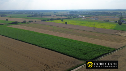 Działka 11337m2 Zambrów — wnętrze 2