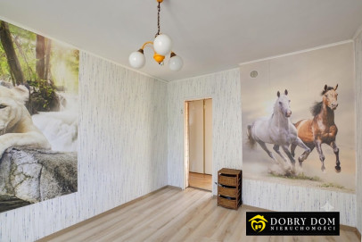 Dom 610m2 Łapy — zdjęcie 11 z 17