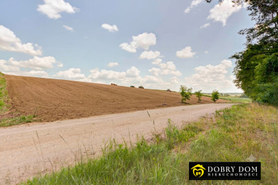 Działka 3003m2 Złotoria — widok główny