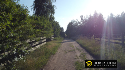 Działka 3000m2 Krusznik — zdjęcie 8 z 12