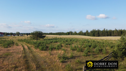 Działka 3000m2 Krusznik — wnętrze 3