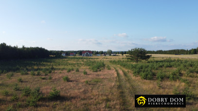 Działka 3000m2 Krusznik — wnętrze 2