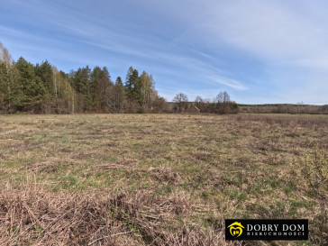 Działka 2180m2 Józefowo — zdjęcie od frontu