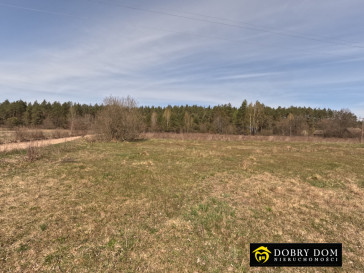 Działka 2180m2 Józefowo — wnętrze 2