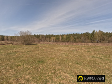 Działka 2180m2 Józefowo — zdjęcie 5 z 15