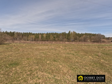 Działka 2180m2 Józefowo — zdjęcie 6 z 15