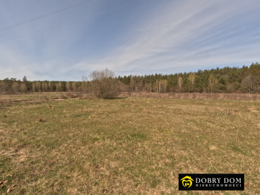 Działka 2180m2 Józefowo — zdjęcie 7 z 15