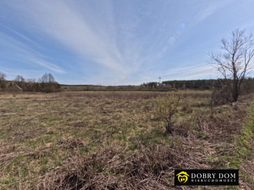 Działka 2180m2 Józefowo — zdjęcie 8 z 15