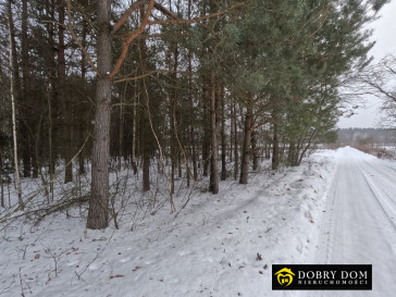 Działka 2180m2 Józefowo — zdjęcie 9 z 15