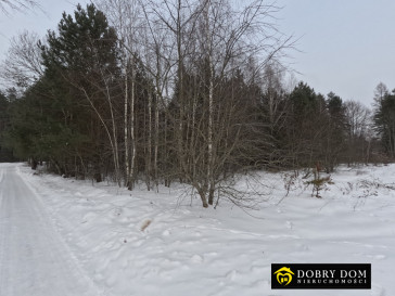 Działka 2180m2 Józefowo — zdjęcie 10 z 15