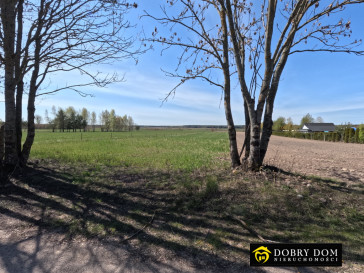 Działka 3000m2 Stara Łuplanka — wnętrze 2