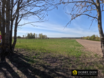 Działka 3000m2 Stara Łuplanka — wnętrze 3