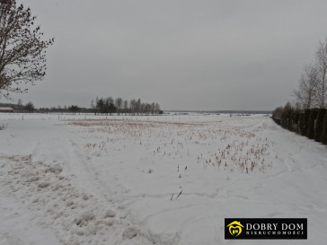 Działka 3000m2 Stara Łuplanka — zdjęcie 7 z 10