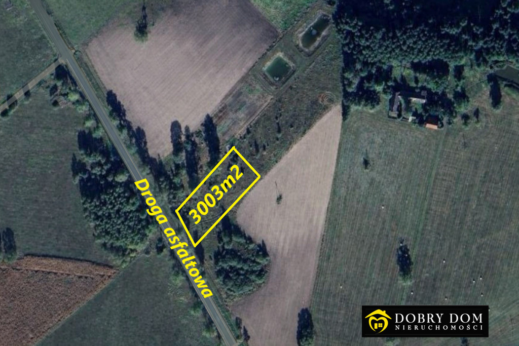 Zagruszany 3002m2 gmina Zabłudów.