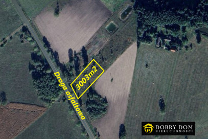 Działka 3002m2 Zagruszany — zdjęcie od frontu