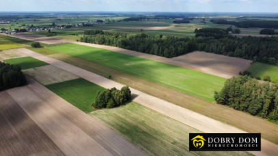 Działka 68700m2 Łopuchowo — zdjęcie 7 z 7