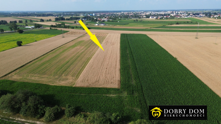 Działka Sprzedaż Zambrów 2