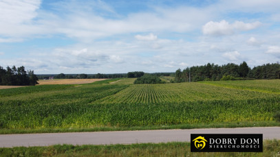 Działka 18591m2 Sidory — zdjęcie 8 z 20