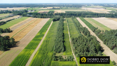 Działka 18591m2 Sidory — zdjęcie 15 z 20