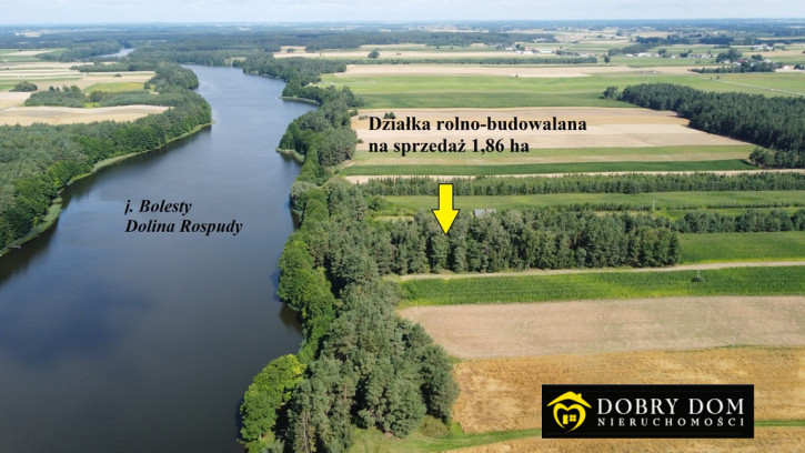 Działka Sprzedaż Sidory 1
