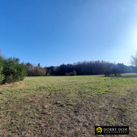 Działka 27200m2 Płonka Kościelna — wnętrze 2