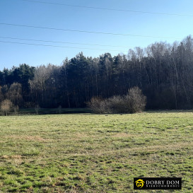 Działka 27200m2 Płonka Kościelna — wnętrze 3