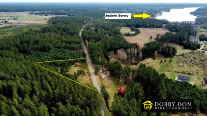 Działka 9100m2 Serski Las — zdjęcie od frontu